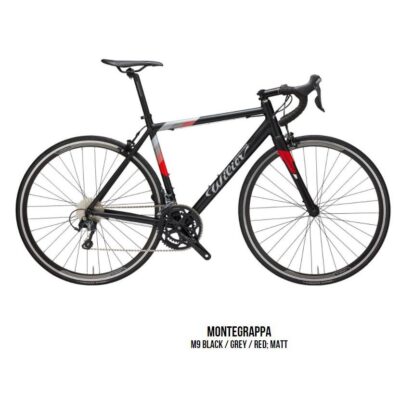 Route Wilier Montegrappa -2022